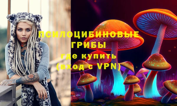 дживик Инта