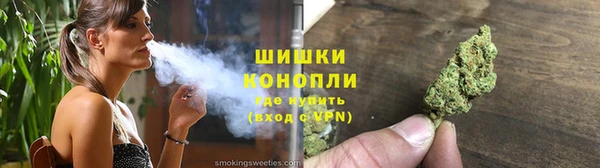 дживик Инта