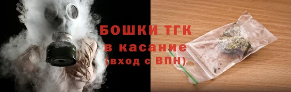 дживик Инта