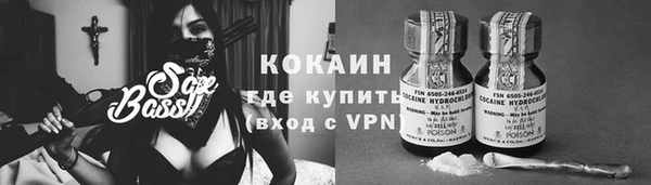 ECSTASY Инсар