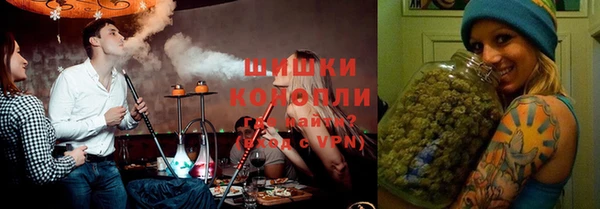 гидропоника Иннополис