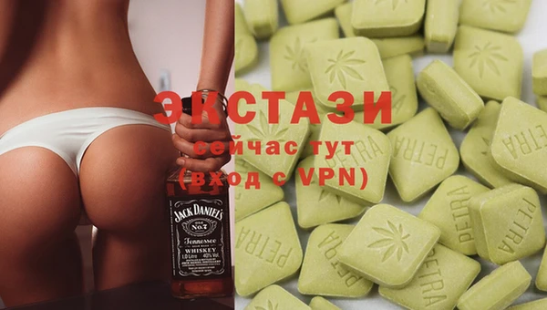 ECSTASY Инсар