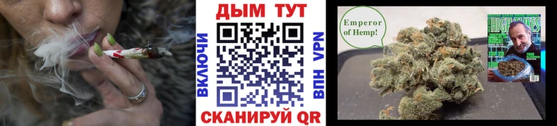 shop Telegram Фурманов МАРИХУАНА ГИДРОПОН